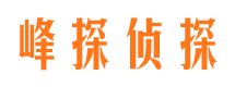 长岭市婚外情调查